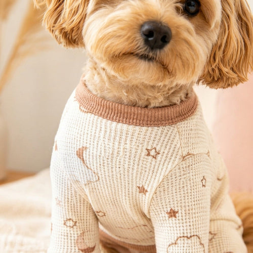 QECUPORA™ CozyNest Thermal Pet Pajamas – Soft Stretch Dog Onesie, Warm Puppy Sleepwear for Small & Medium Dogs