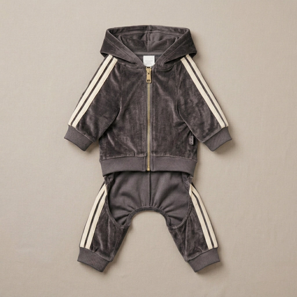 QECUPORA™ LuxeVelour Pet Tracksuit – Soft Dog Lounge Set, Premium Puppy Outfit for Small Dogs
